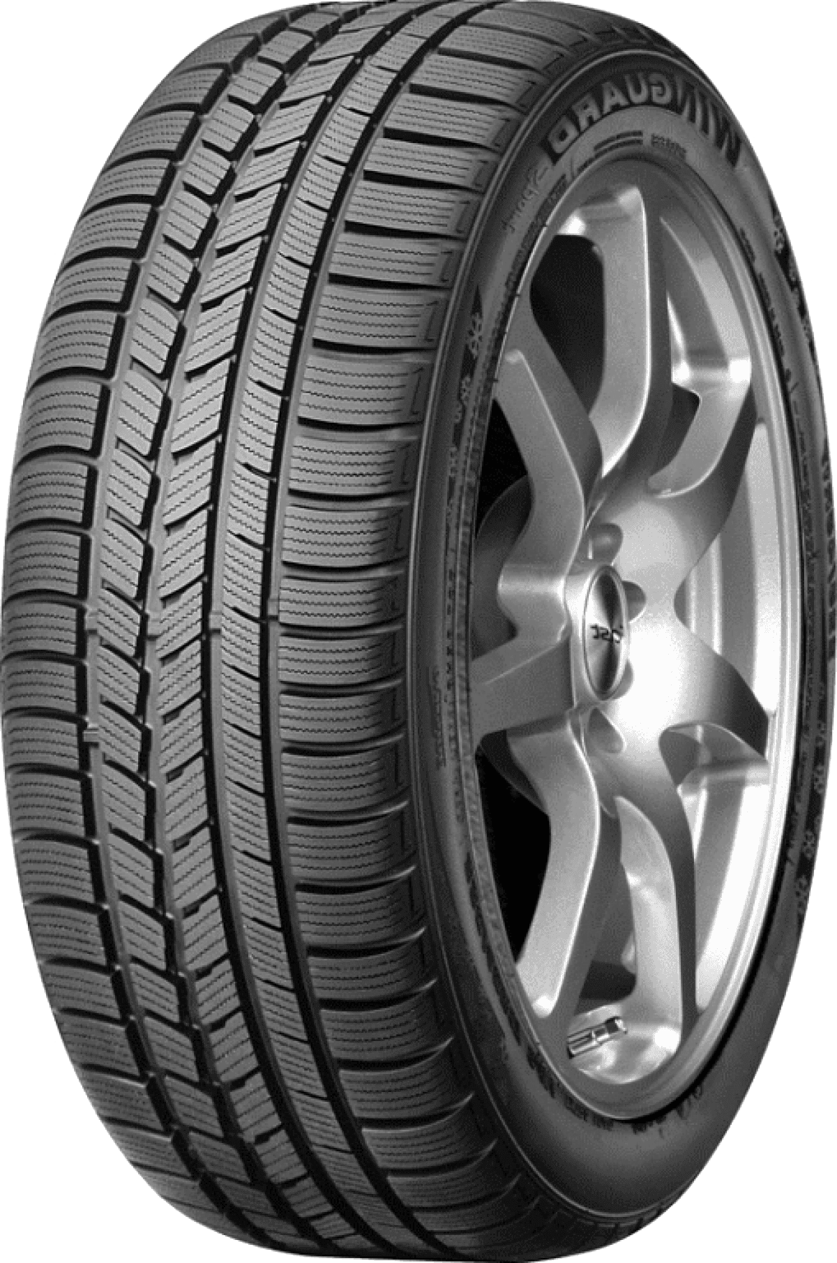 Roadstone WinGuard Sport